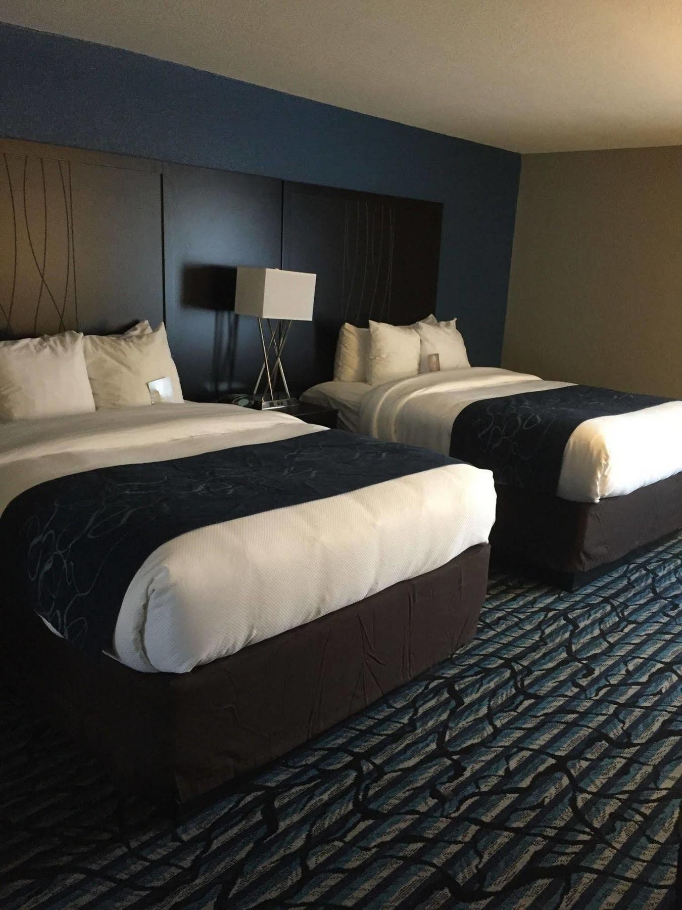 Comfort Suites University 巴吞鲁日 外观 照片